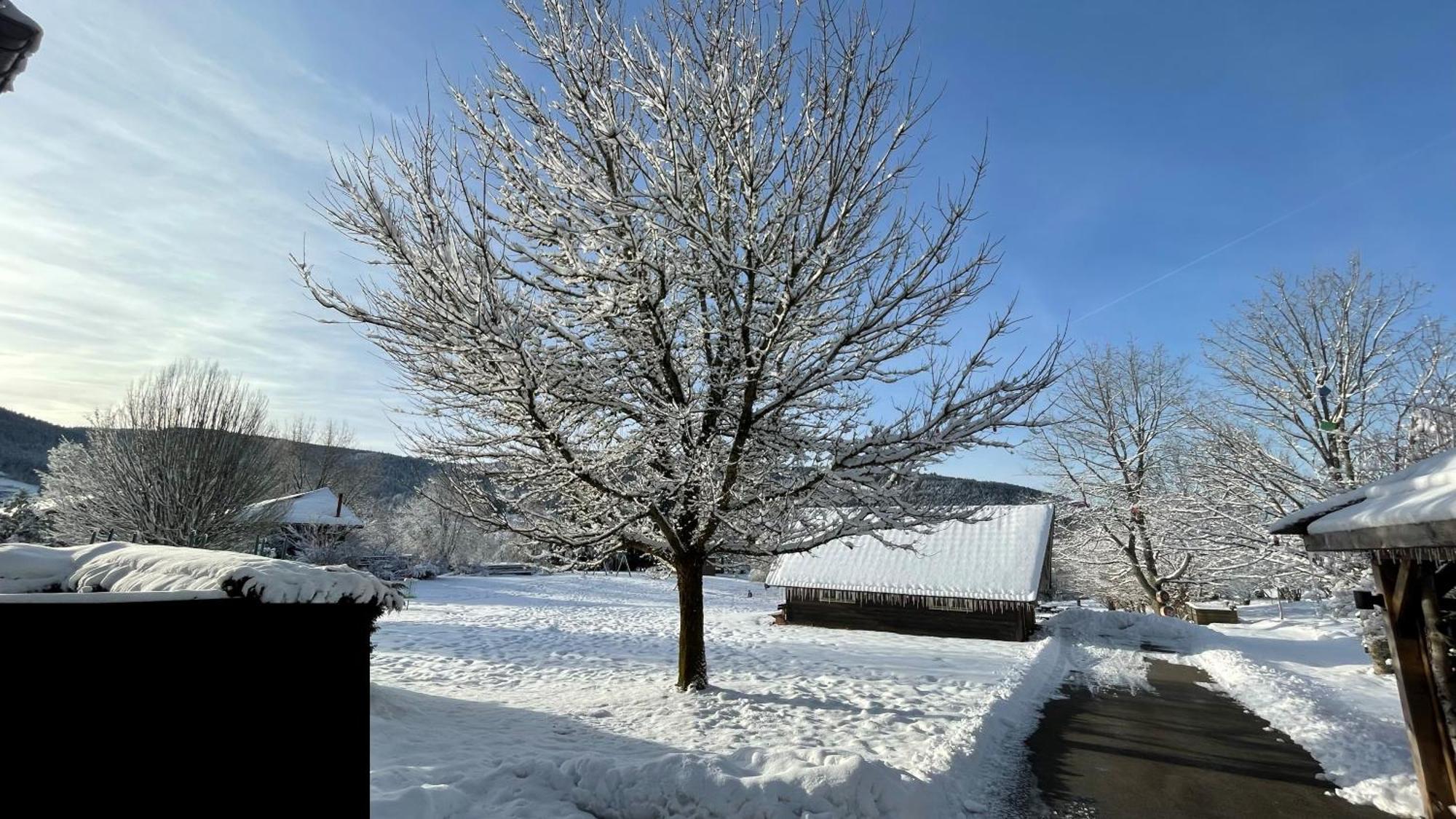 ※ Residence Pomme De Pin - Terrasse - Nature ※ Xonrupt-Longemer Luaran gambar